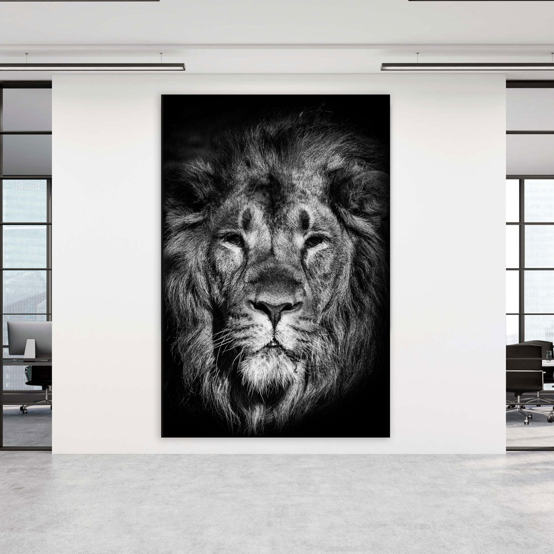 Wandbilder Löwen