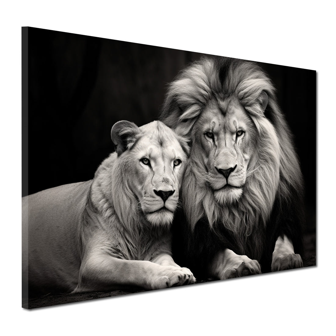 Wandbild Löwen Beautiful Lions schwarz weiß