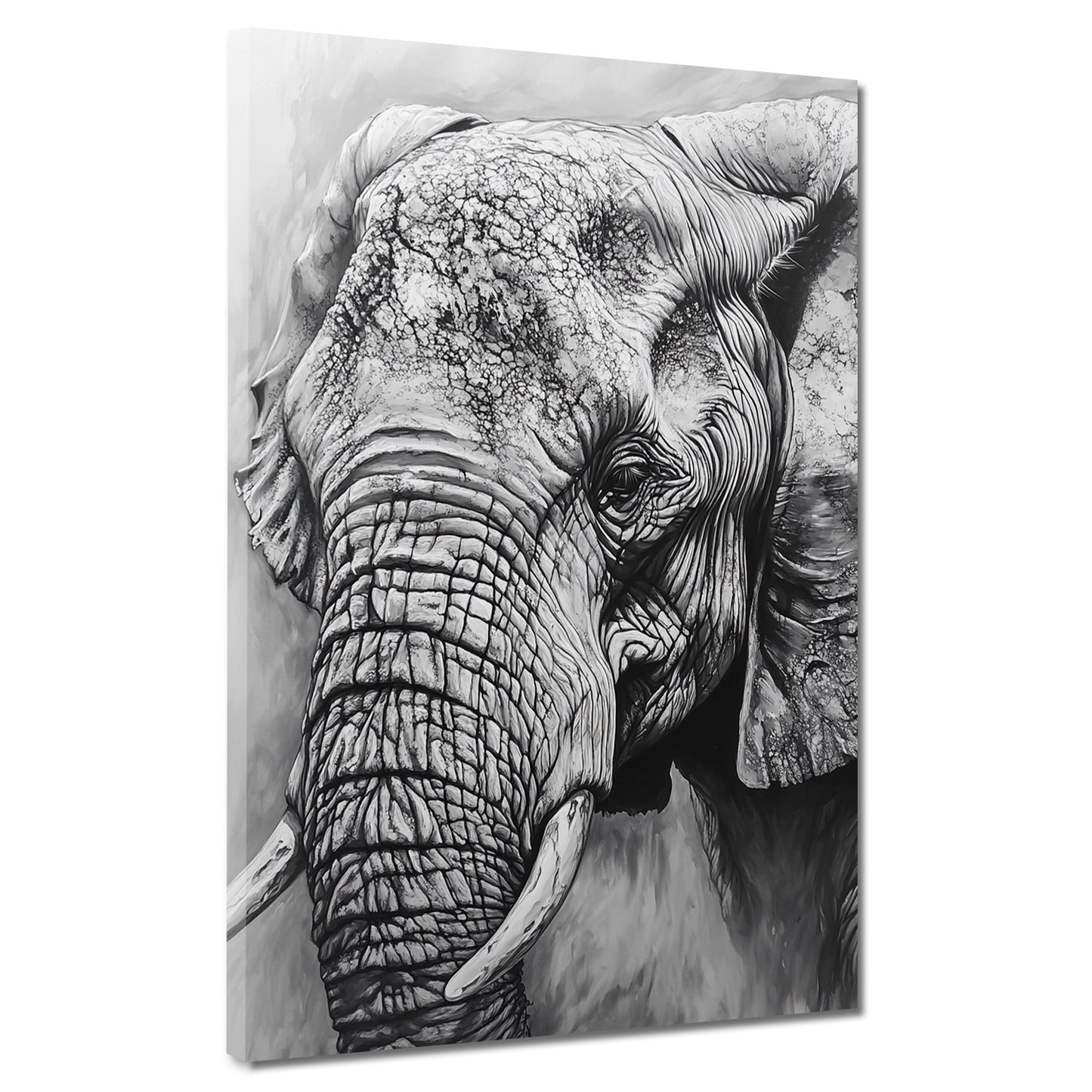 Wandbild alter Elefant schwarz weiß Portrait Weisheit