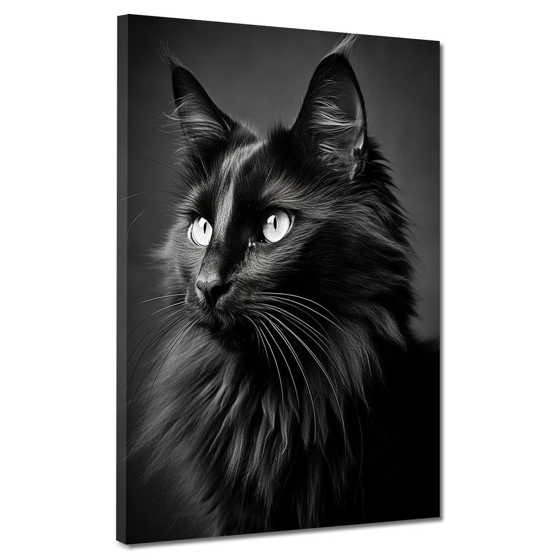 Wandbild wunderschön mit schwarze Katze