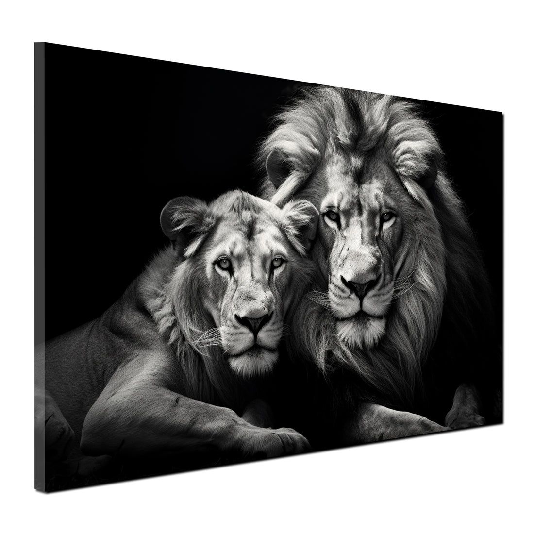Wandbild zwei Löwen Black Style