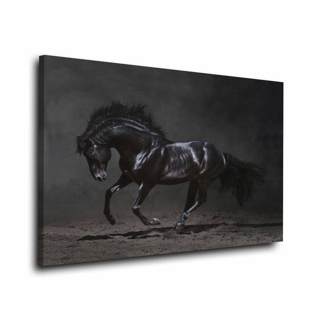 pferd schwarzer Mustang