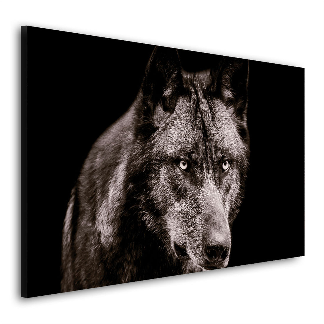 Wandbild Wolf schwarz weiß Black Style, Wolfsrudel Anführer