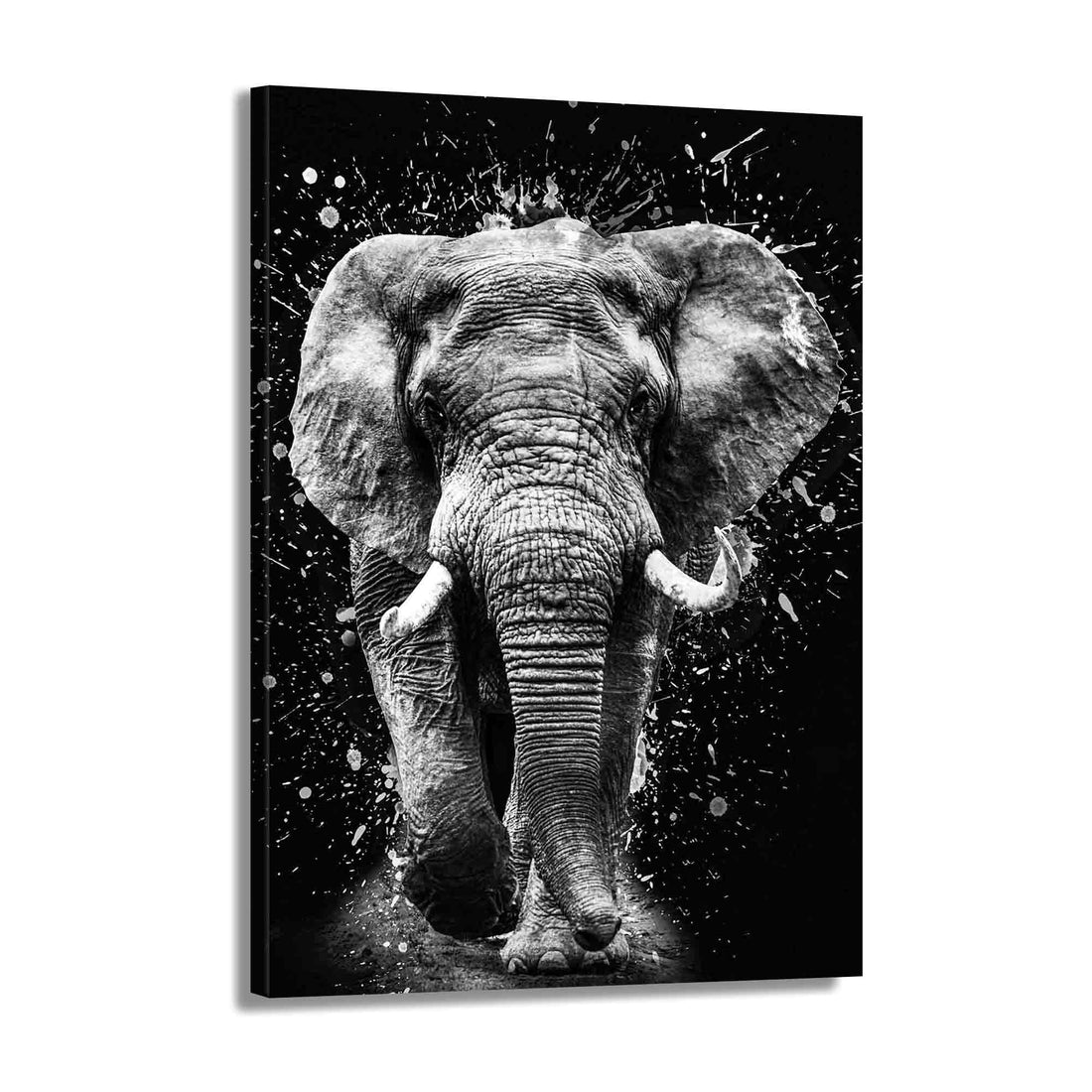 Wandbild Elefant schwarz-weiß Abstract Black &amp; White, Tiere aus Afrika