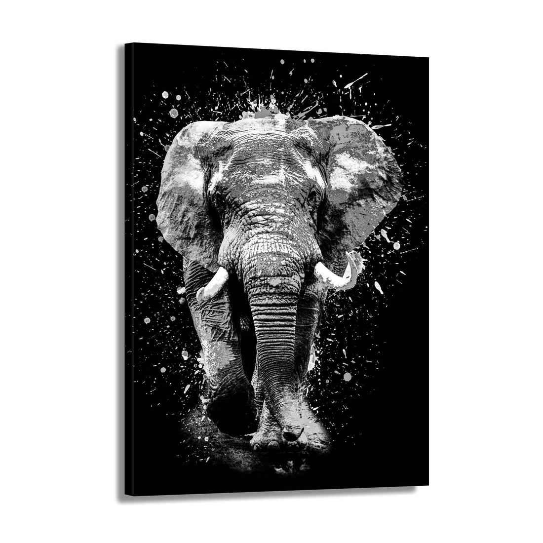 Wandbild Elefant schwarz-weiß Pop Art