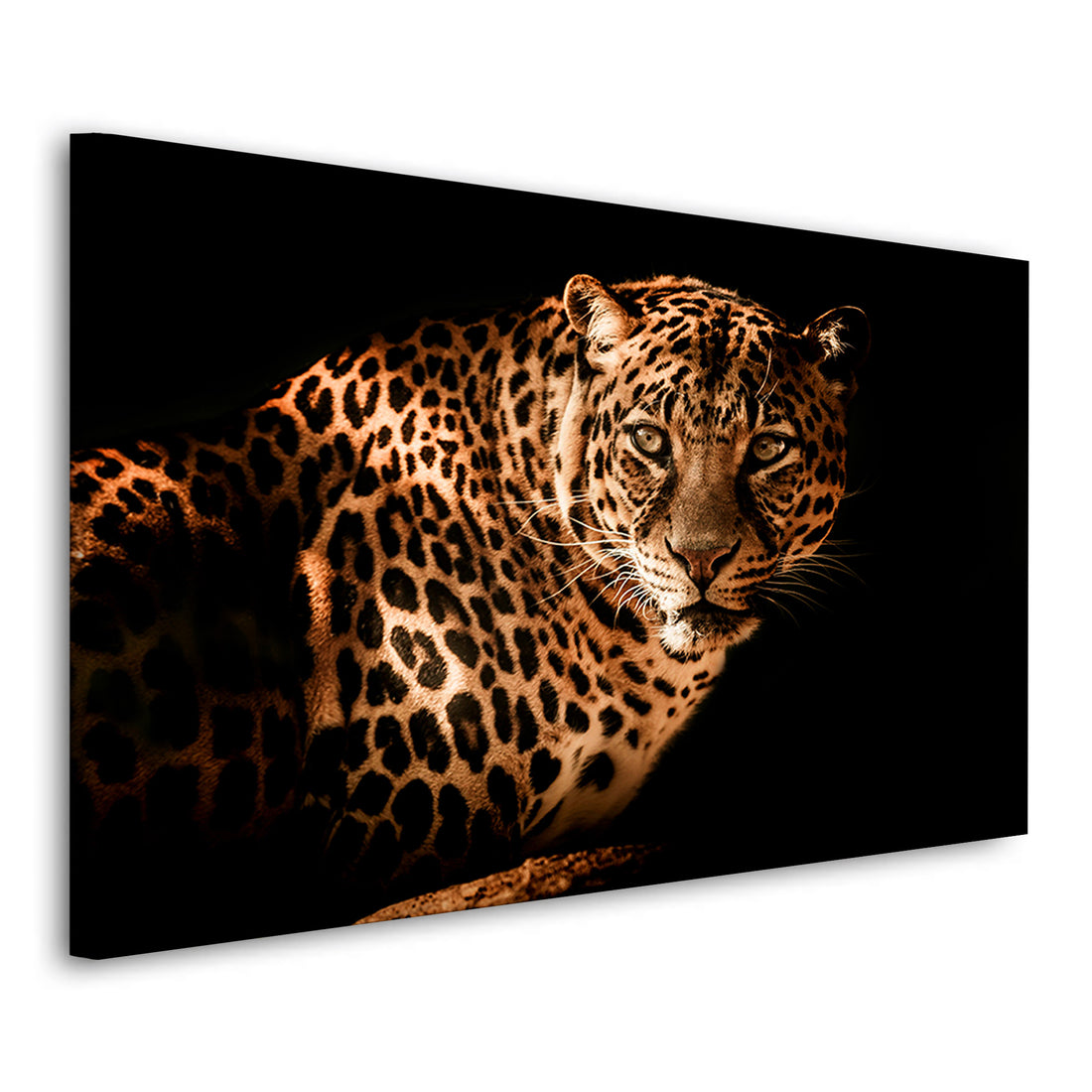 Wandbild Leopard Black Style