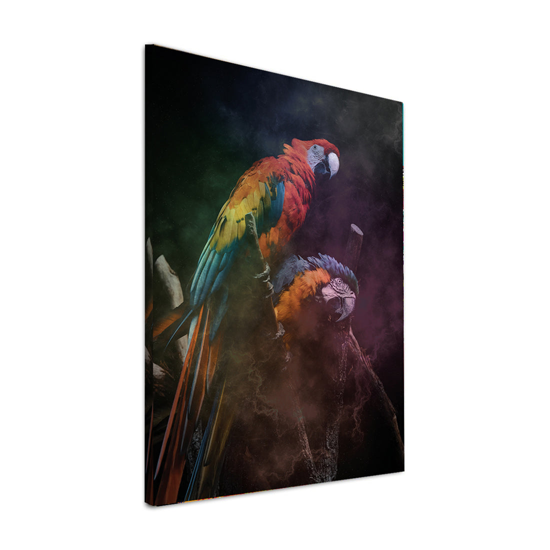 Wandbild Papagei Black Style