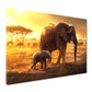 Wandbild Elefanten Mutterliebe Savanne Sonnenlicht