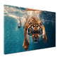 Wandbild Tiger im Wasser Wildnis Energie Raubtier