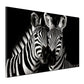 Wandbild Zebras schwarz weiß