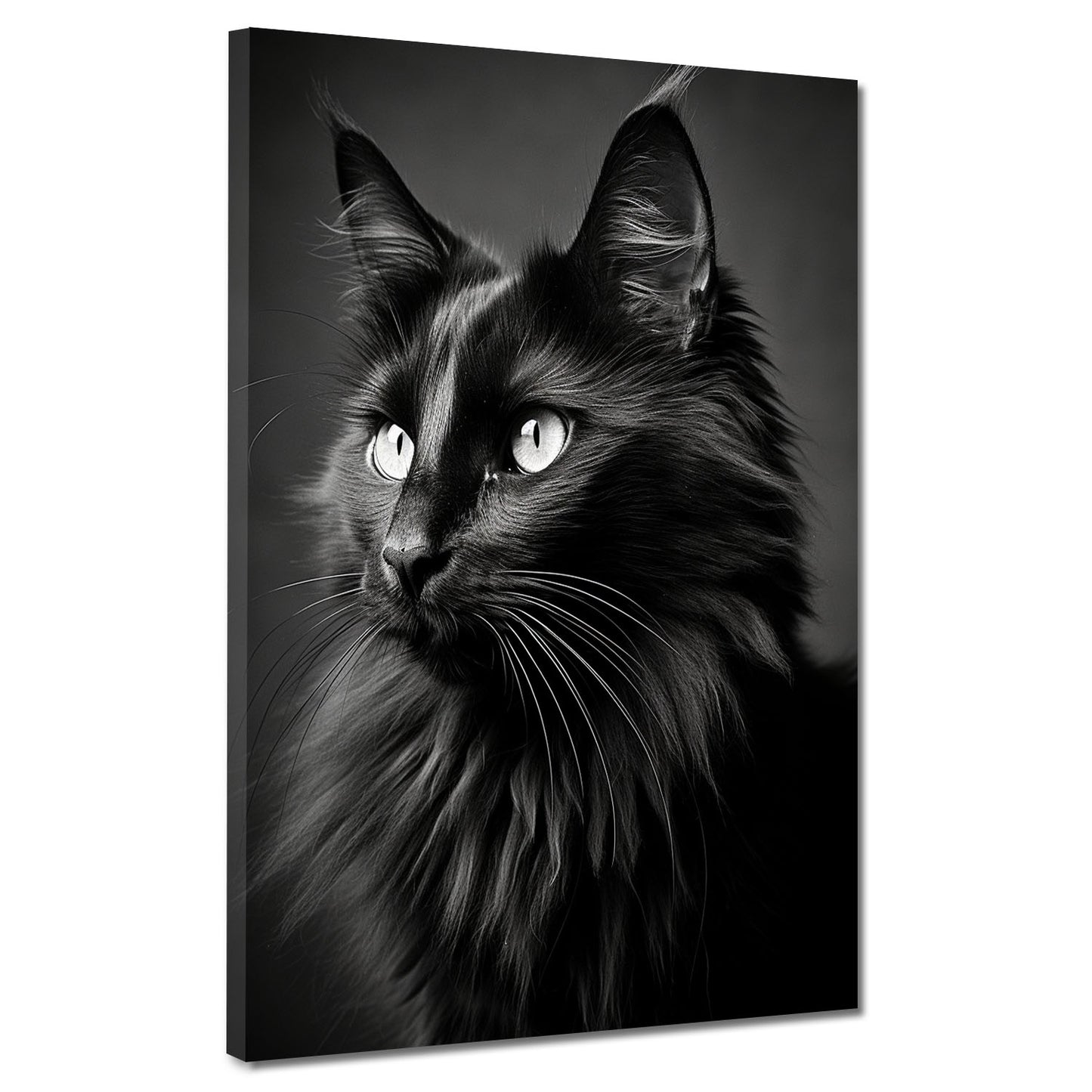 Wandbild wunderschön mit schwarze Katze