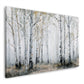 Birkenwald Landschaft ruhige Natur Wandbild