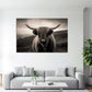 Highland Rind Porträt schwarz weiß Landschaft Natur Wandbild