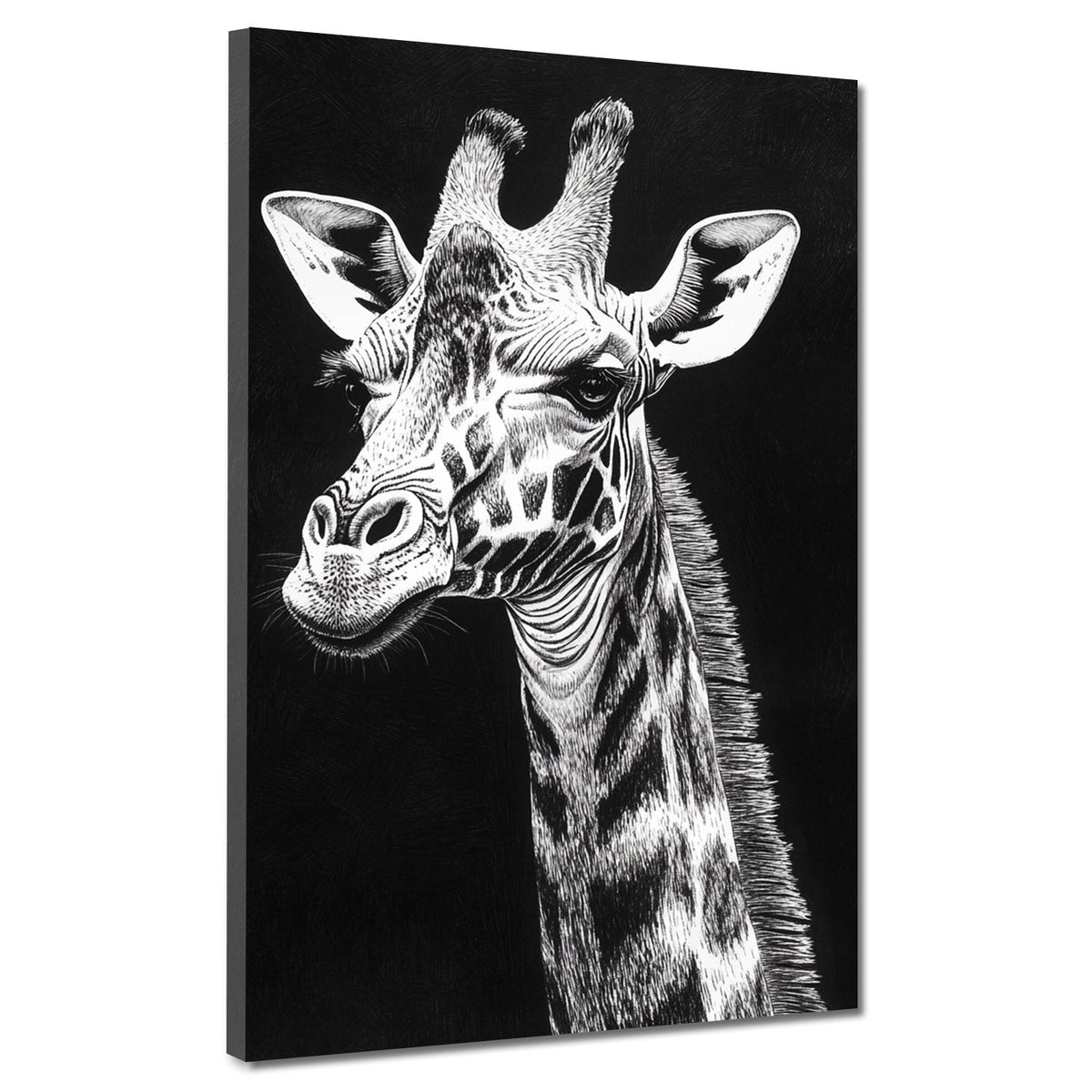Giraffe Tierporträt schwarz-weiß – Wandbild
