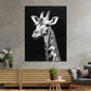 Schwarz Weiß Giraffe Tierporträt Wandbild