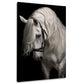 Weißes Pferd mit wallender Mähne Eleganz Wandbild