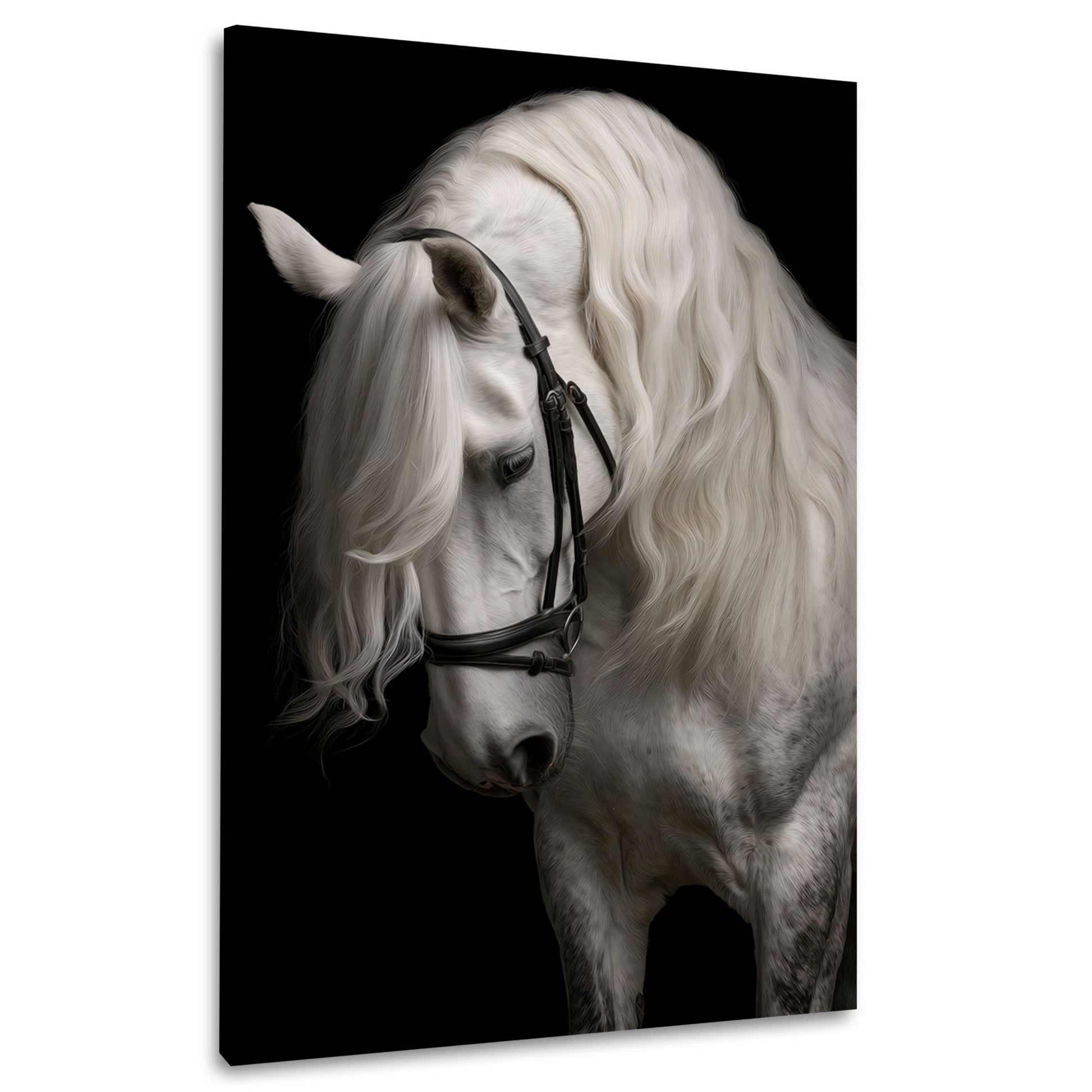 Weißes Pferd mit wallender Mähne Eleganz Wandbild