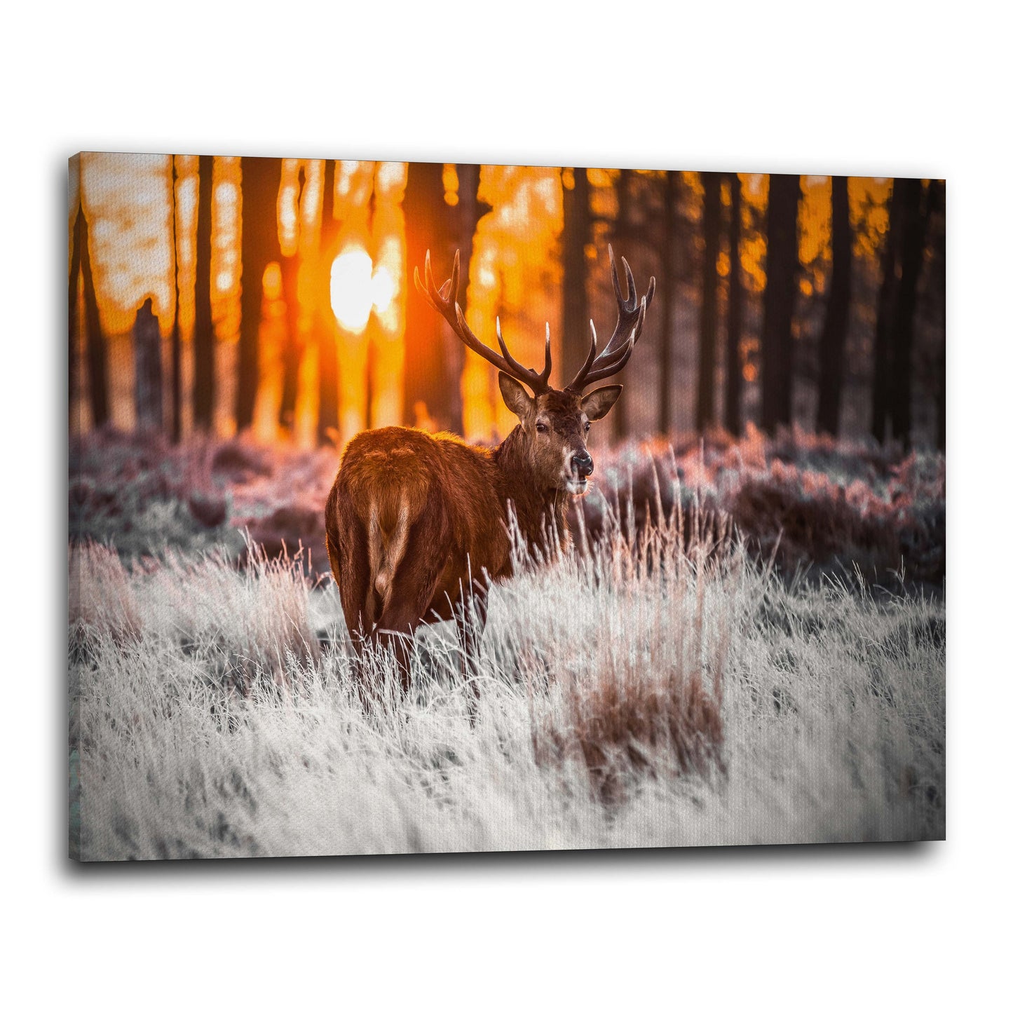 Wandbild abstrakt mit Hirsch und Natur, Winter